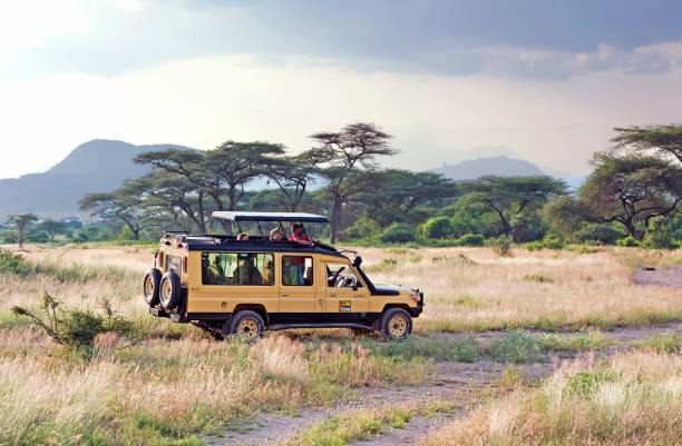  Africa Trip Customization Guide 2026–2027 
